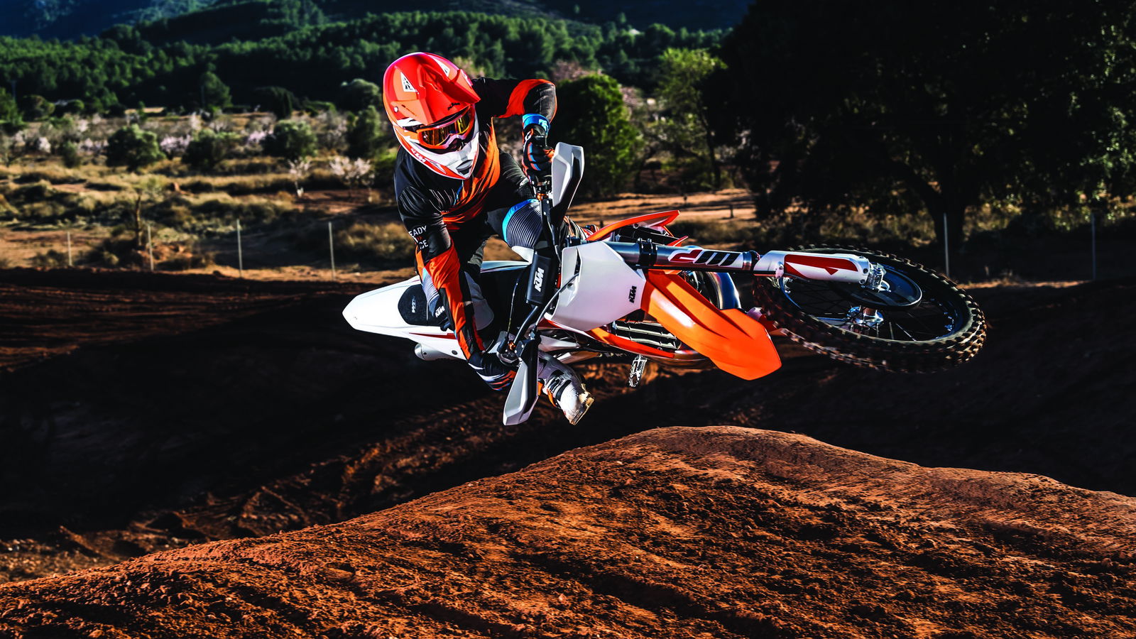 KTM 250 SX MY 2019